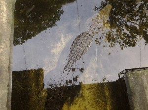 Mac-mac, the giant saltwater crocodile